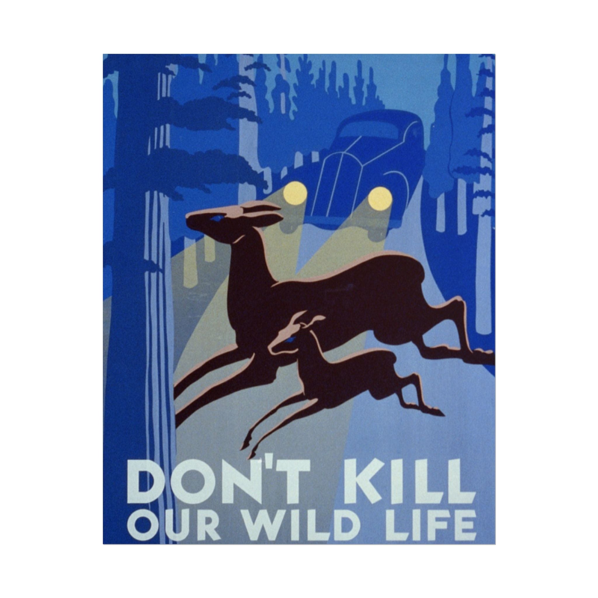 Don't Kill Our Wildlife 1940 Vintage WPA Poster