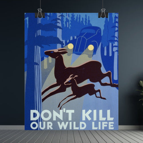 Don't Kill Our Wildlife 1940 Vintage WPA Poster