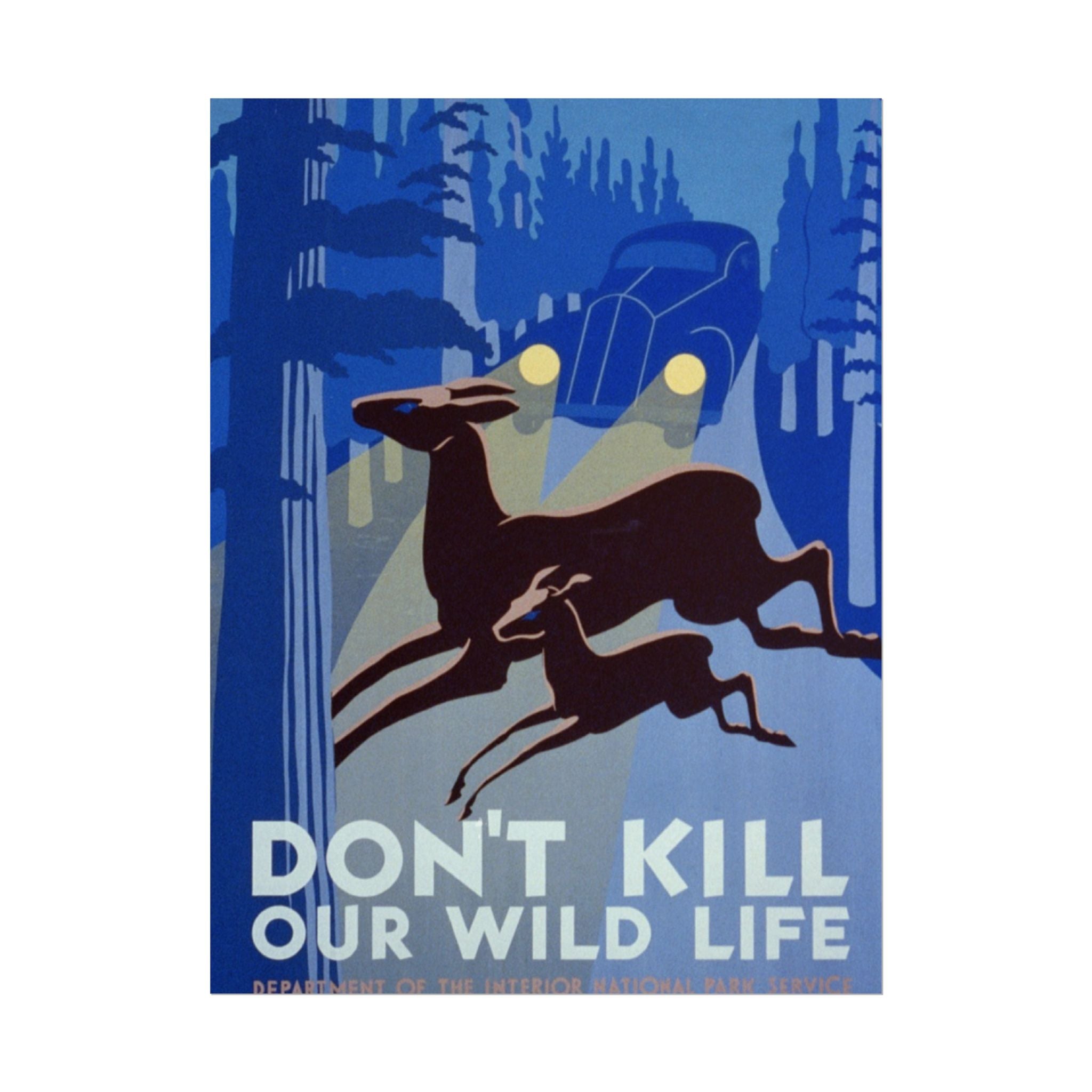 Don't Kill Our Wildlife 1940 Vintage WPA Poster