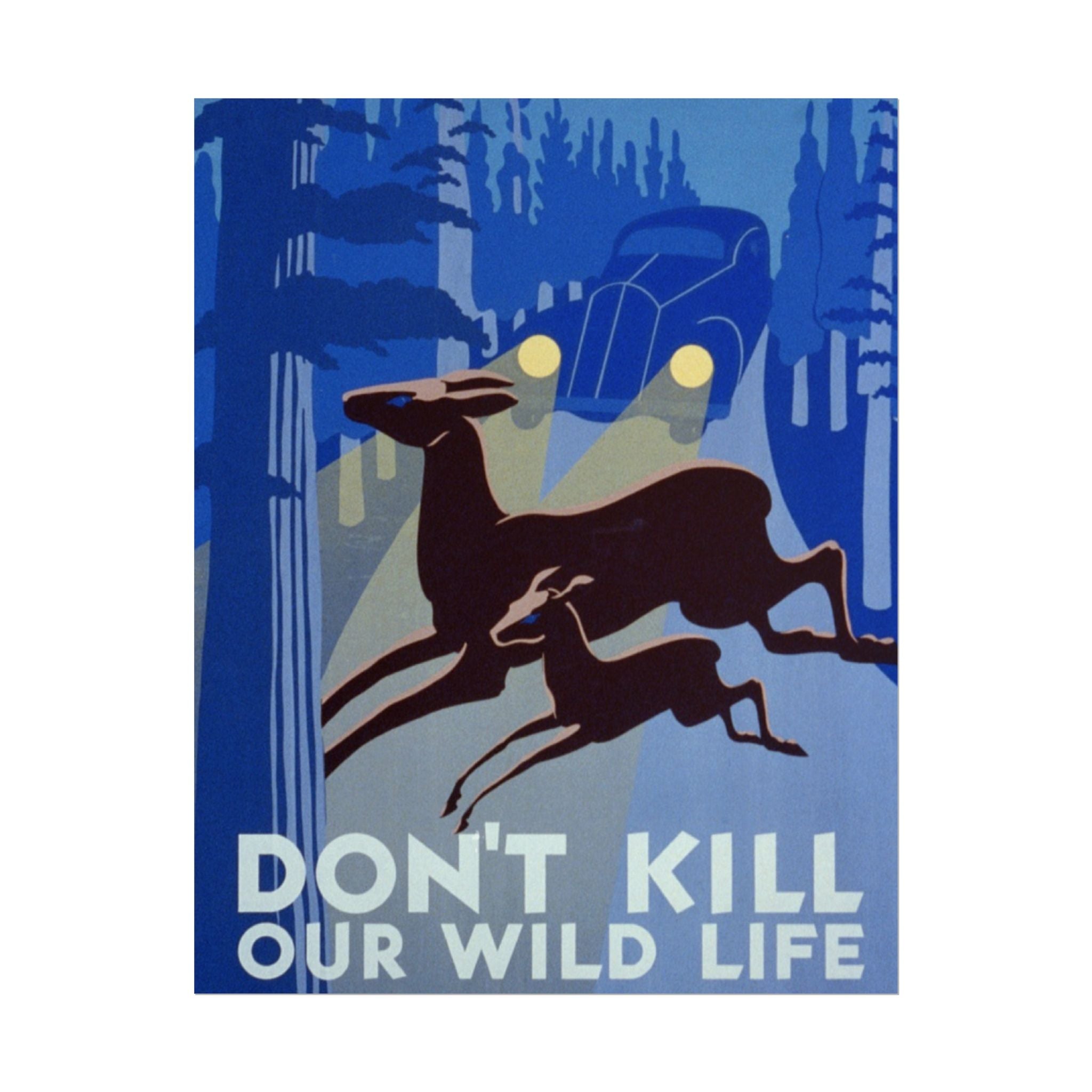 Don't Kill Our Wildlife 1940 Vintage WPA Poster